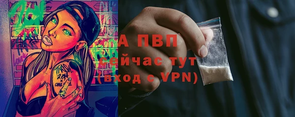 стаф Абинск