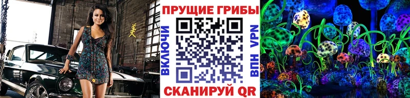 Псилоцибиновые грибы GOLDEN TEACHER  где купить наркотик  Нестеров 